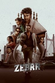 Zebra 2024 ORG Hindi Dubbed Full Movie Watch Online Free Download