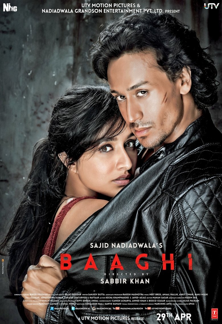 Baaghi 2016